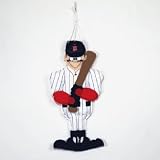 Minnesota Twins Official Logo Windsock