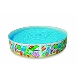 Intex 8' X 18 Sun Fish Snapset Pool