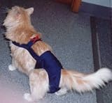 Joybies Navy Blue Piddle Pants(tm) for Medium Cat (Measuring 15-17 from Collar to Base of Tail)