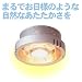 �����������V��Ɩ��Ƀn���Q���q�[�^�[�����́I�g�C���E�E�ߏ�Ɂw���C�g���q�[�^�[�@�|�J�s�J�i�݂艺���^�j�x
