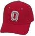 Ohio State Buckeyes Zephyr DH Fitted Cap