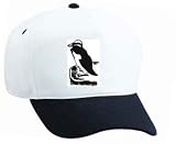 White Cap with "black and white", penguin, flightless, Alaska, bird