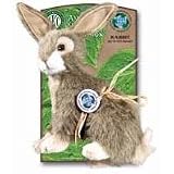 Akc Green Planet,Dog Toys, Dogs, Pet & Supplies
