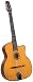 Gitane Modele Lulo Reinhardt DG-310 Django Jazz Guitar (Natural, Acoustic)