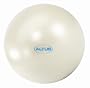 Altus Athletic 65cm 600-Pound Body Ball with DVD (Pearl)