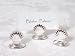Kitchen & Housewares : Beverly Clark 67T Silver Shell Place Card Holder