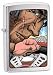Sporting Goods : Zippo Racer X, Brushed Chrome