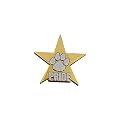 Paw Print Pride Star Pin 12-pk. - Silver/ Gold