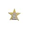 Paw Print Pride Star Pin 12-pk. - Silver/ Gold