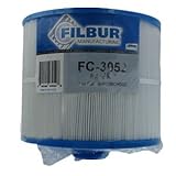 Filbur FC-3052 Antimicrobial Replacement Filter Cartridge for Vita Spas Pool and Spa Filter