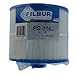 Filbur FC-3052 Antimicrobial Replacement Filter Cartridge for Vita Spas Pool and Spa Filter