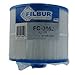 Filbur FC-3052 Antimicrobial Replacement Filter Cartridge for Vita Spas Pool and Spa Filter