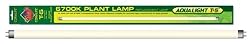 Fluorescent Lamp - 6,700K - 14W - 24 in. - T-5