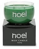Health & Personal Care : Primal Elements - Christmas Two Wick Wish Candle (Noel)