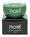 Primal Elements - Christmas Two Wick Wish Candle (Noel)
