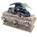 Kitchen & Housewares : Dragon Casket Trinket Box