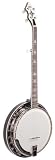 Recording King Deco King Archtop Resonator Banjo