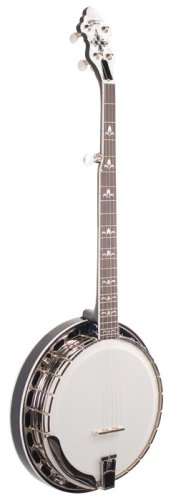 Recording King Deco King Archtop Resonator Banjo