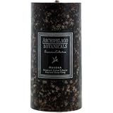 Archipelago Botanicals 2.5 x 5 Pillar Candle: Havana