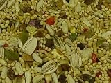 Volkman Cockatiel with Sunflower Seed Mix 4lb