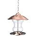 Frisky Friends Wakefield Brass Birdfeeder