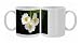 Photo Mugs of USH-2371 Arrowhead - flowers of plant growing in garden pond from Ardea Wildlife Pets