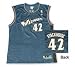 Search : Washington Wizards Jerry Stackhouse #42 Jersey by Reebok