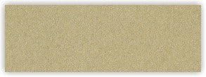 NeenahENVIRONMENT - 12 X 18 80# Desert Storm Environment Text Smooth - 250 PK