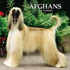 Afghans 2010 Wall Calendar
