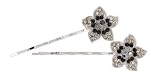 Bobby Pin - bobbypin0022