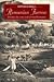 Romanian Furrow: Colourful Experiences of Village Life