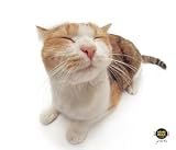 Allsop 29595 Pet Me Cat Microfiber Wipe