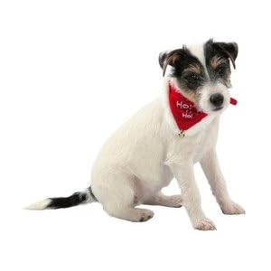 Ho Ho Ho Christmas Neckerchief Collar for Cats and Dogs