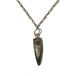 Fossil Necklace 03 Orthoceras Black Stone Point Antiqued Brass Steel 25