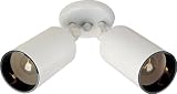 31UZj%2BeJUQL. SL160  2 Light Can Wall/Flush Mount