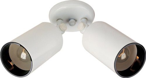 31UZj%2BeJUQL 2 Light Can Wall/Flush Mount