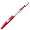 Arkansas Razorbacks