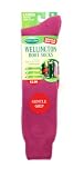 Ladies 1 Pair Drew Brady Wellington Boot Socks – Medium – Purple