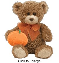 31UaVbvo%2BpL Ty Classic Bumpkin Teddy Bear with Pumpkin
