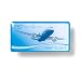 787 Dreamliner First Flight Pin