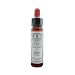Original Bach Flower Remedy 10ml - GORSE