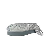 Microsoft Wireless Laser Desktop Keyboard 6000 v2 USB Silver Keyboard English