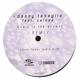 DANNY TENAGLIA FT CELEDA / MUSIC IS THE ANSWER (CEVIN FISHER REMIX)