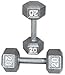 Pair 20 Lb. Cast Iron Hex Dumbbells