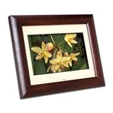 Smartparts 11.0 LCD Natural Wood Digital Picture Frame, 800x480 Resolution, 128mb Internal Memory