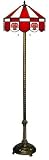 65 Floor Lamp Light University of Maryland Terrapins - Free Shipping