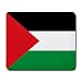 Palestine Flag Mouse Pad