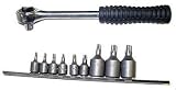 Tools & Hardware : 12 Pcs Star Bit & Ratchet Handle Set