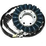 02-03 HONDA CBR954RR: ELECTROSPORT STATOR by Electrosport