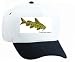 White Cap with sea, scientific, fish, aquarium